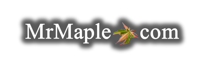 Buy Japanese maple Trees