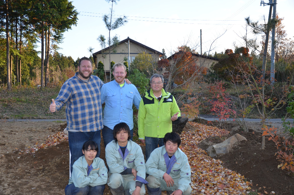 Buy Japanese maple trees